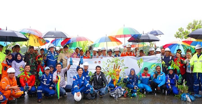 Peringati Hari Lingkungan Hidup, DSLNG Tanam 700 Bibit Pohon