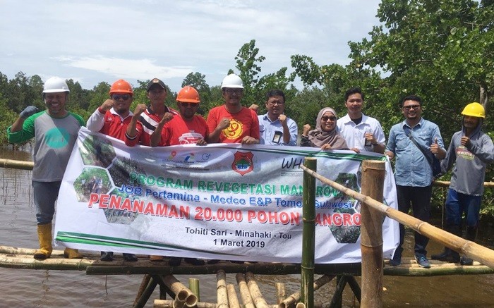 JOB Tomori dan WHI Tanam 20.000 Mangrove di Desa Minahaki